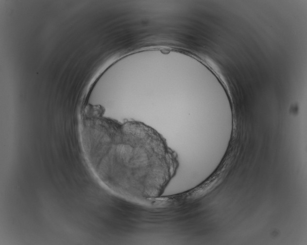 X0000090920859200708271023