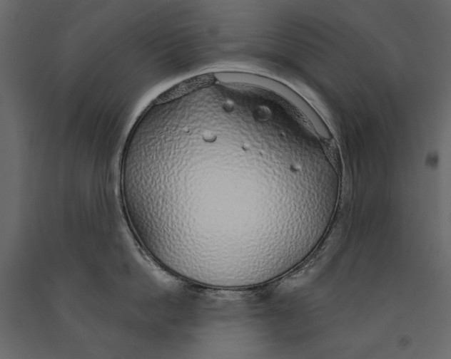 X0000090920862200708271023