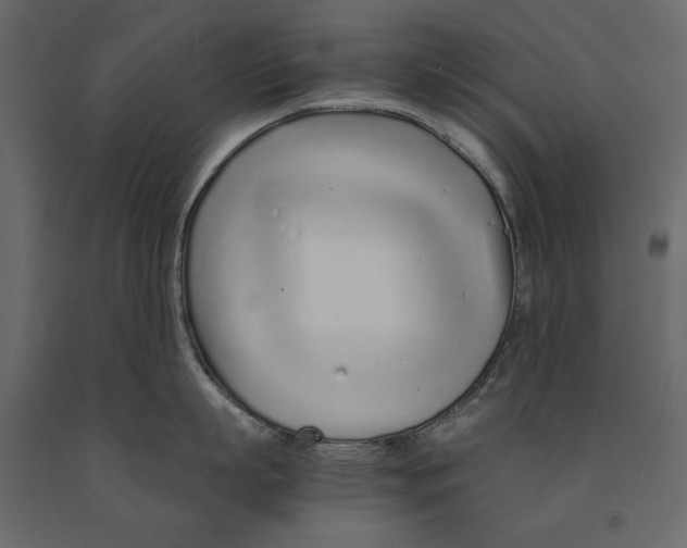 X0000090920863200708271023