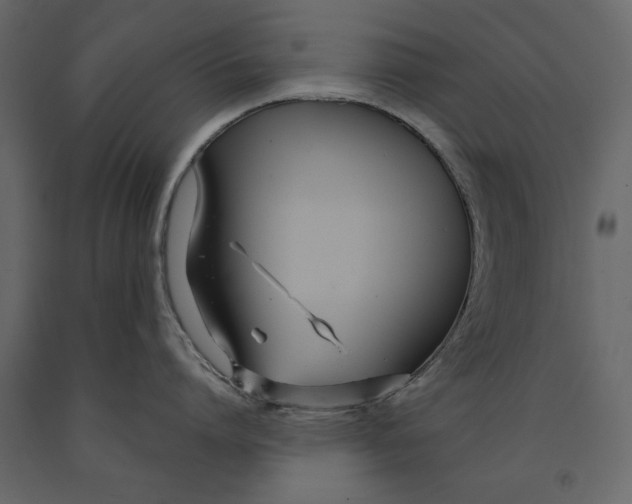 X0000090920864200708271023