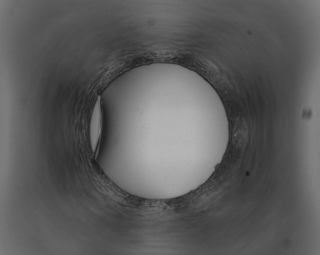 X0000090920866200708271022