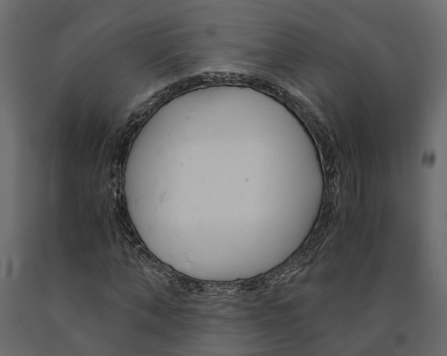 X0000090920870200708271022