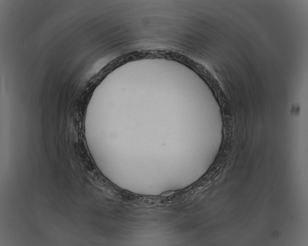 X0000090920871200708271022