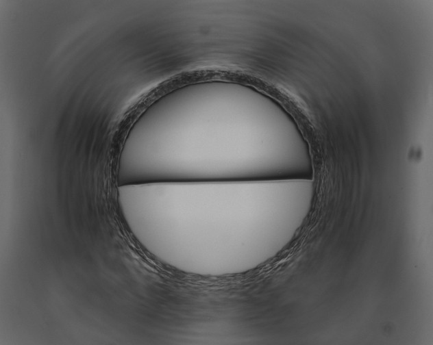 X0000090920872200708271022