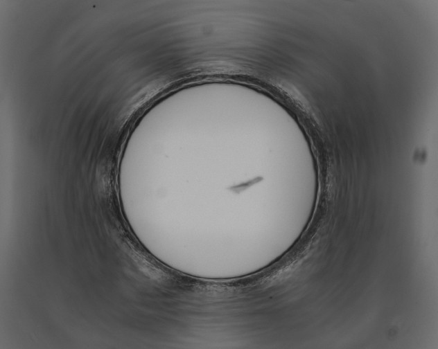 X0000090920873200708271022