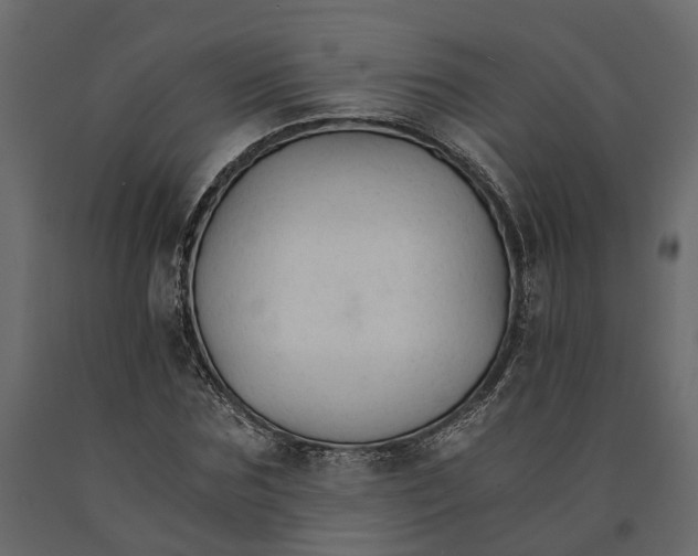 X0000090920875200708271022