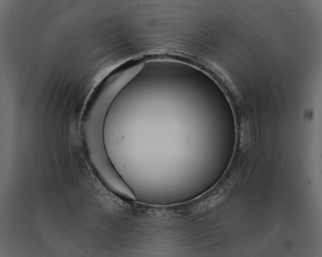 X0000090920876200708271022