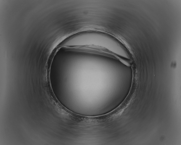 X0000090920877200708271022