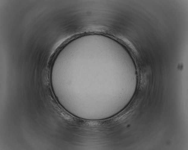 X0000090920878200708271022