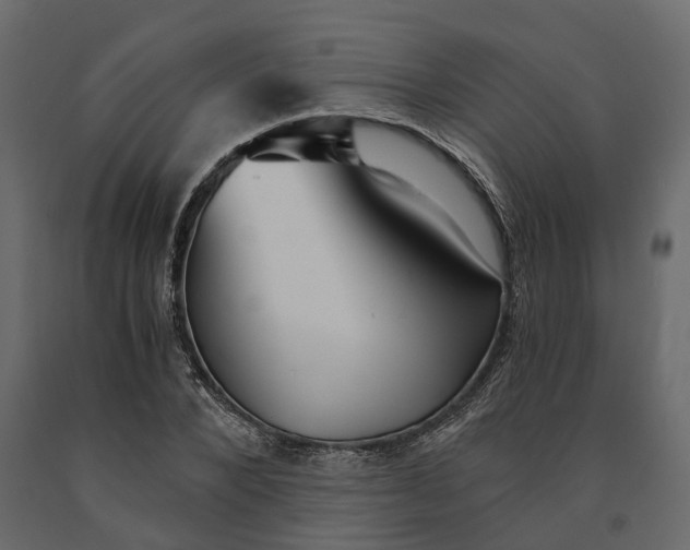 X0000090920880200708271022