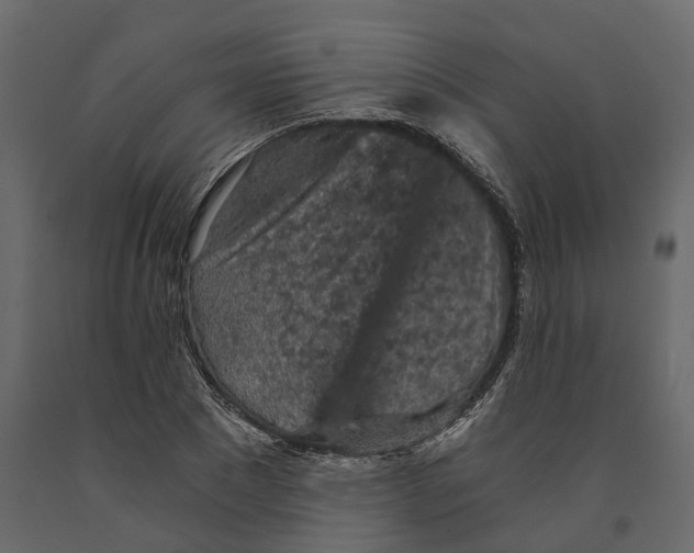 X0000090920881200708271022