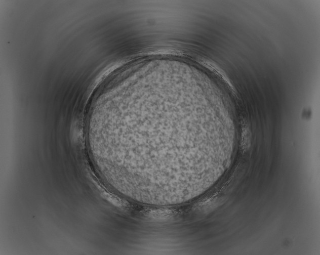 X0000090920882200708271022