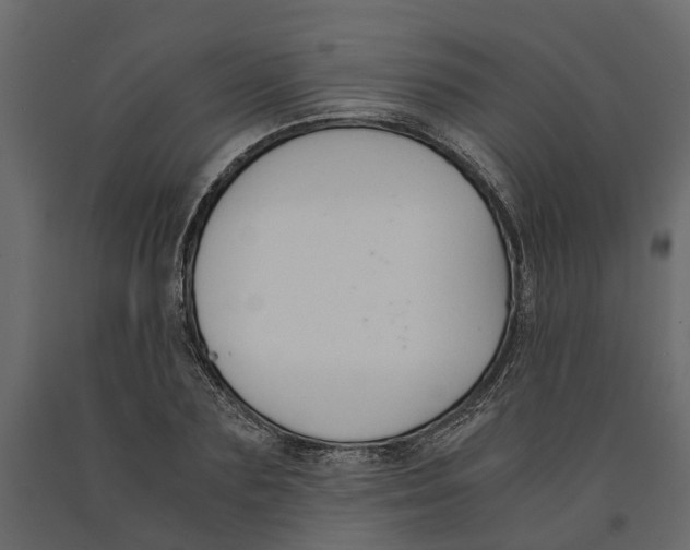 X0000090920883200708271022