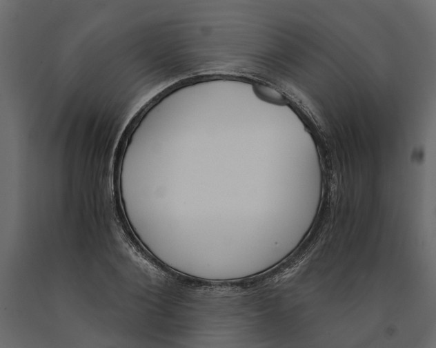 X0000090920884200708271022