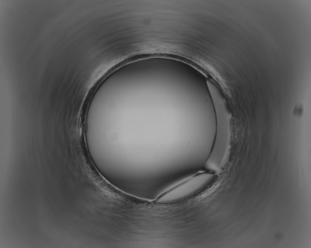 X0000090920885200708271022