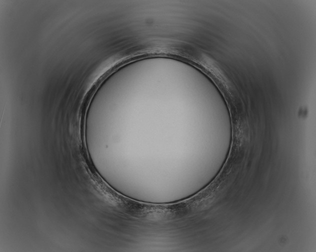 X0000090920886200708271022