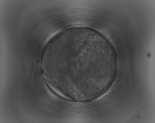 X0000090920889200708271022