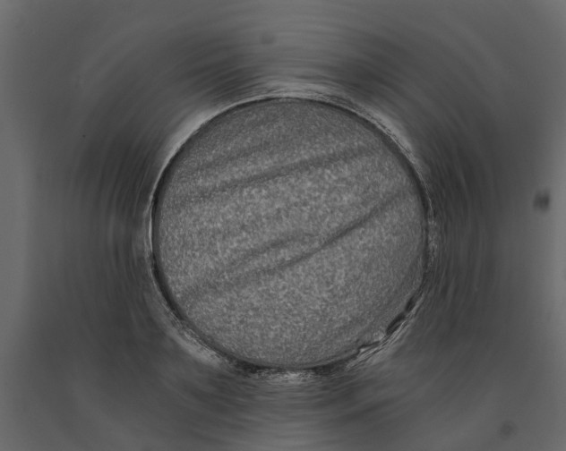 X0000090920891200708271022