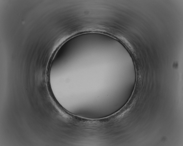 X0000090920893200708271022