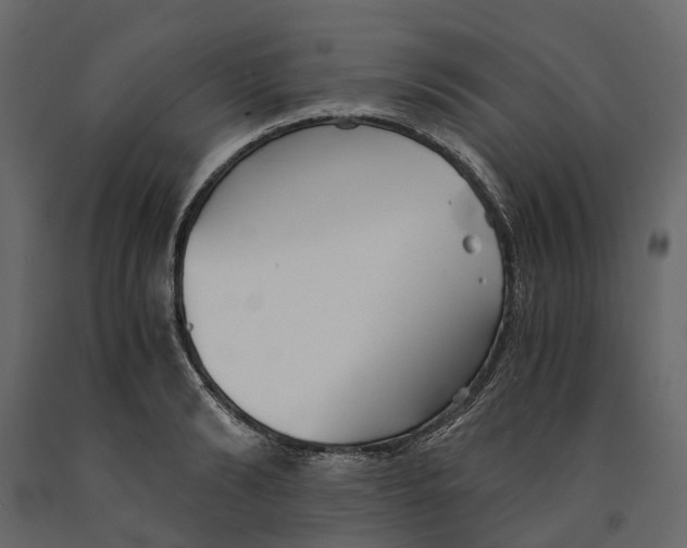 X0000090920894200708271022