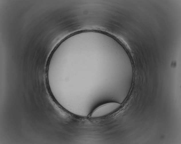 X0000090920895200708271022