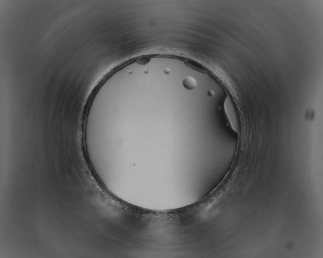 X0000090920896200708271022