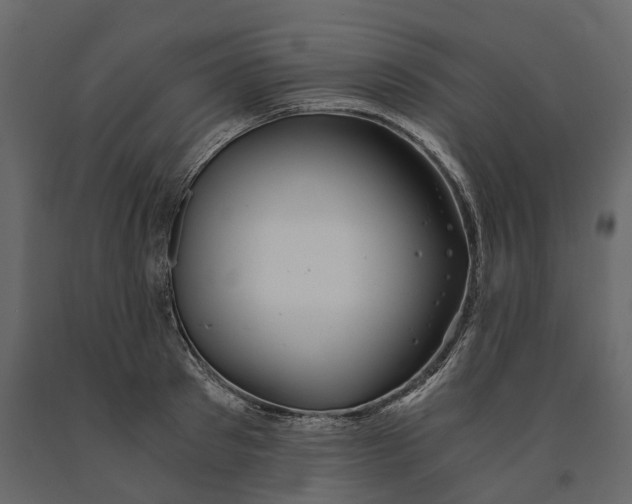 X0000090920897200708271022