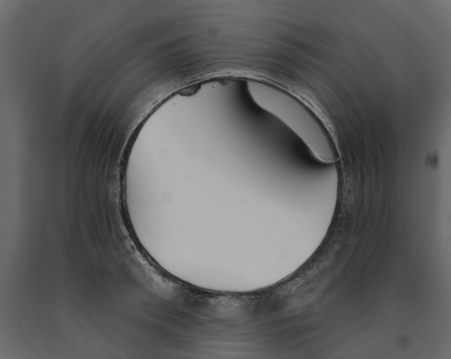 X0000090920898200708271022