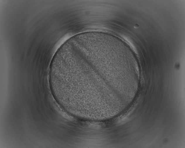 X0000090920899200708271022