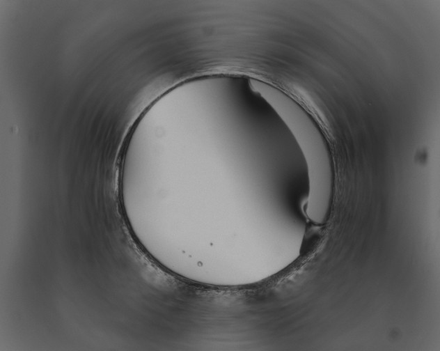 X0000090920900200708271022