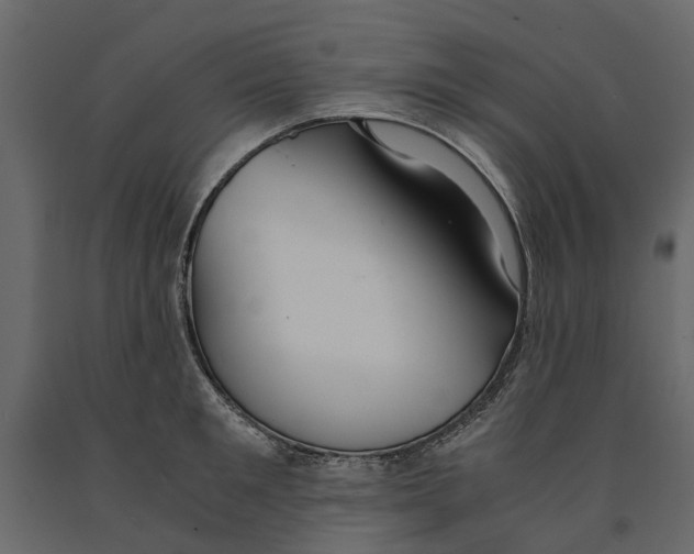 X0000090920901200708271022