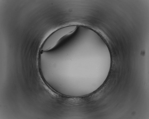 X0000090920902200708271022