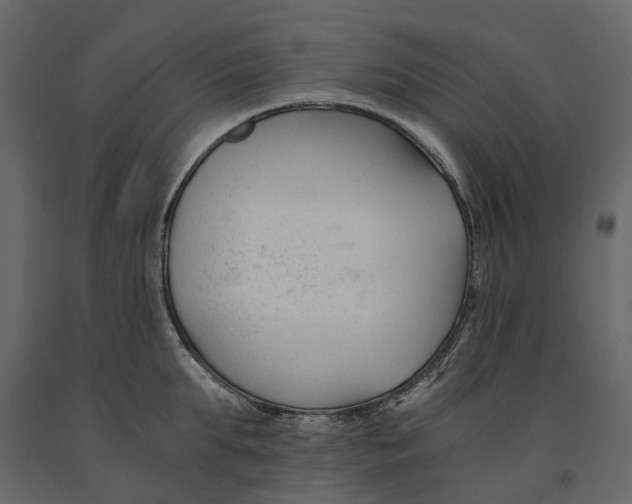 X0000090920903200708271022