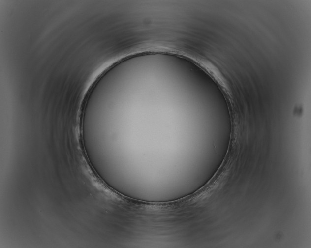 X0000090920904200708271022