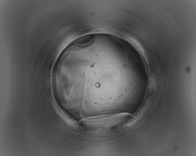 X0000090920907200708271022