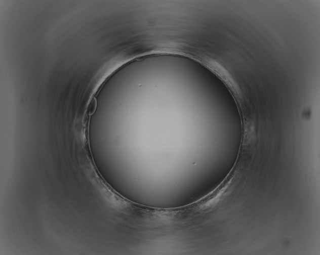 X0000090920908200708271022