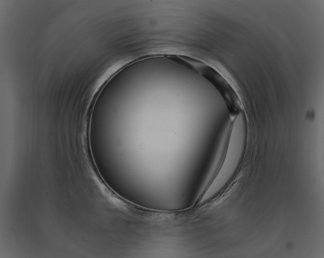 X0000090920909200708271022