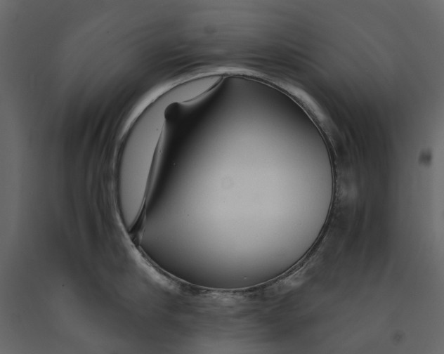 X0000090920910200708271022