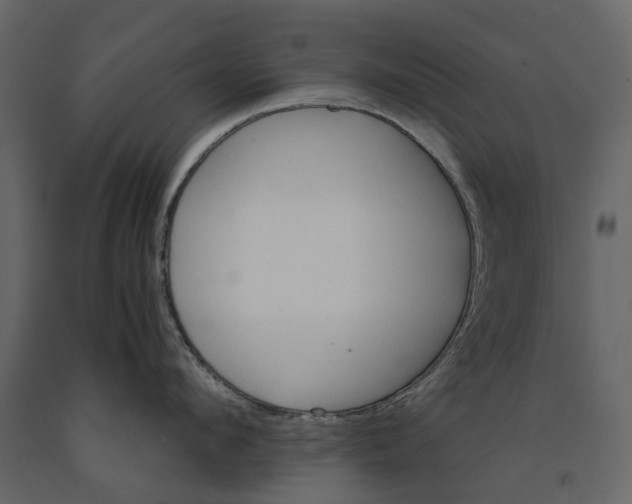 X0000090920912200708271022