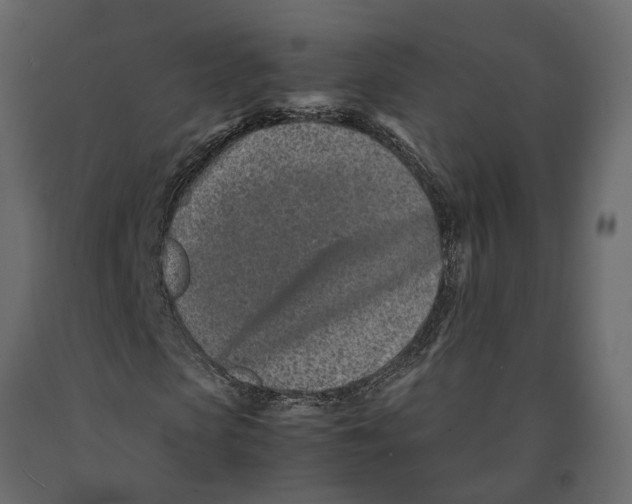 X0000090920913200708271021