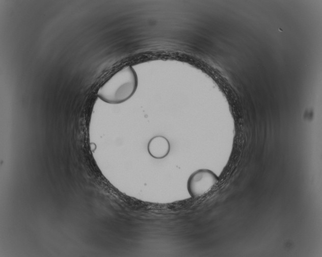 X0000090920918200708271021