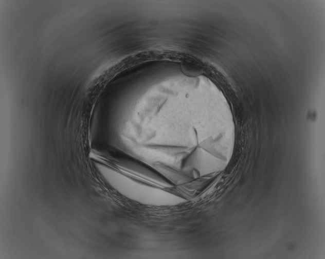 X0000090920919200708271021