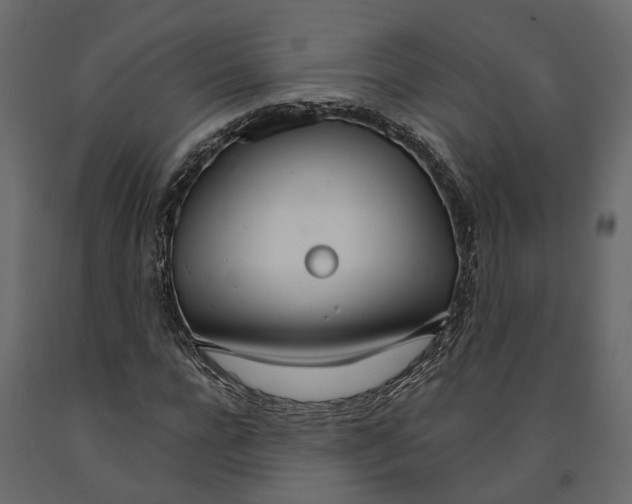 X0000090920920200708271021