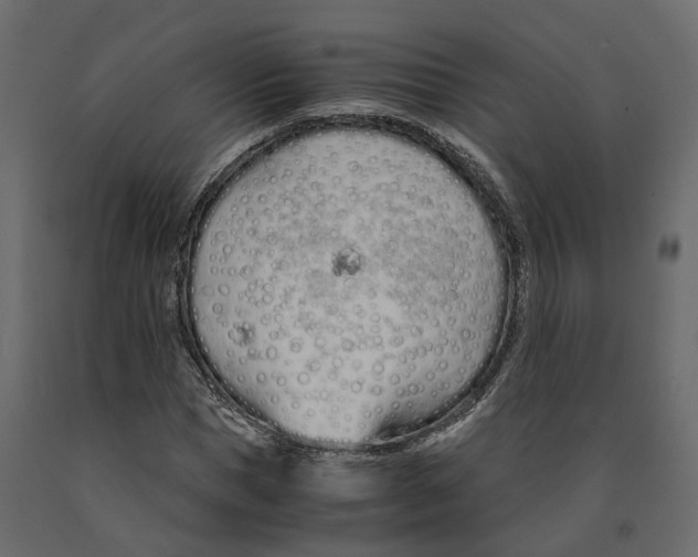 X0000090920921200708271021