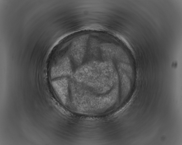 X0000090920923200708271021