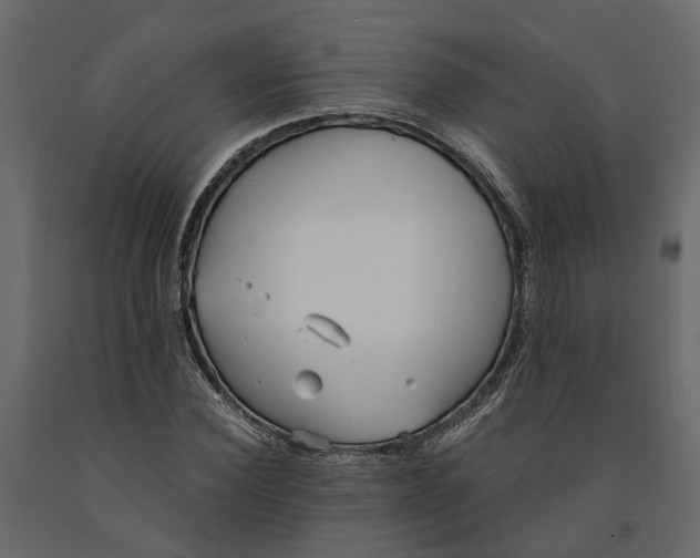 X0000090920924200708271021