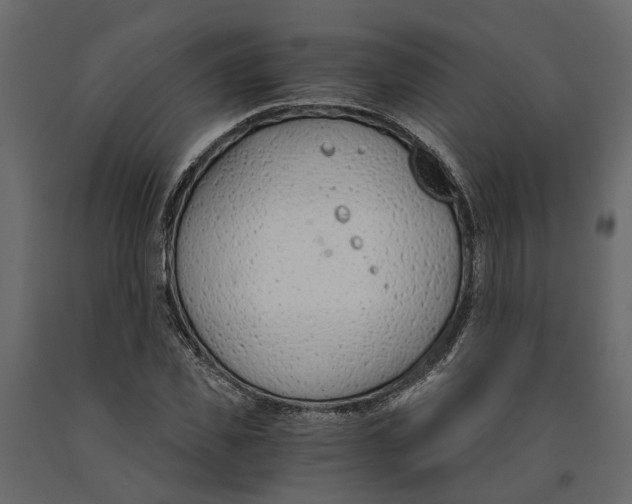 X0000090920925200708271021