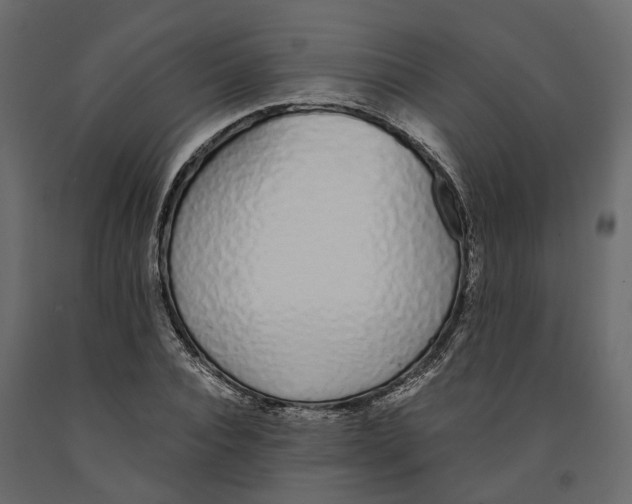 X0000090920928200708271021