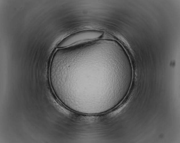 X0000090920930200708271021