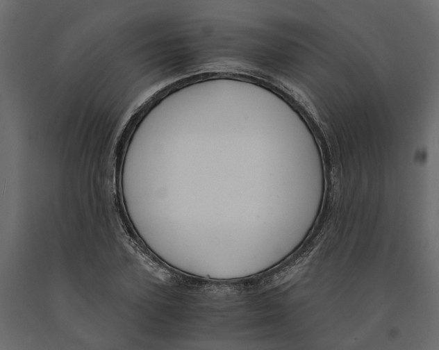 X0000090920931200708271021